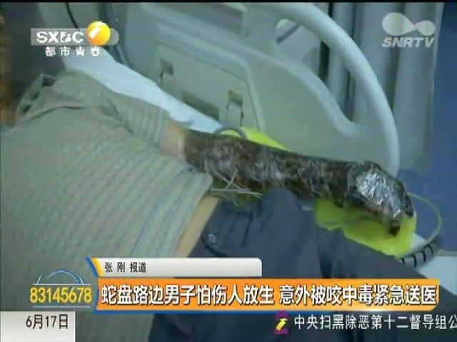 2025新澳门历史开奖查询和放生毒蛇有人被咬伤与放生毒蛇有人被咬伤怎么办